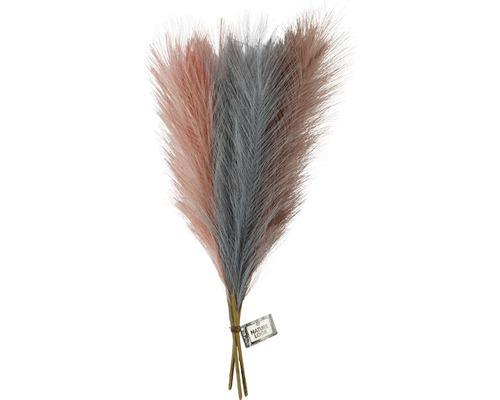 Pampasgras, blauw, paars, stoffig roze, 3 stuks