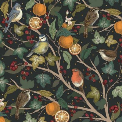 birds & orange trees luxury box x8