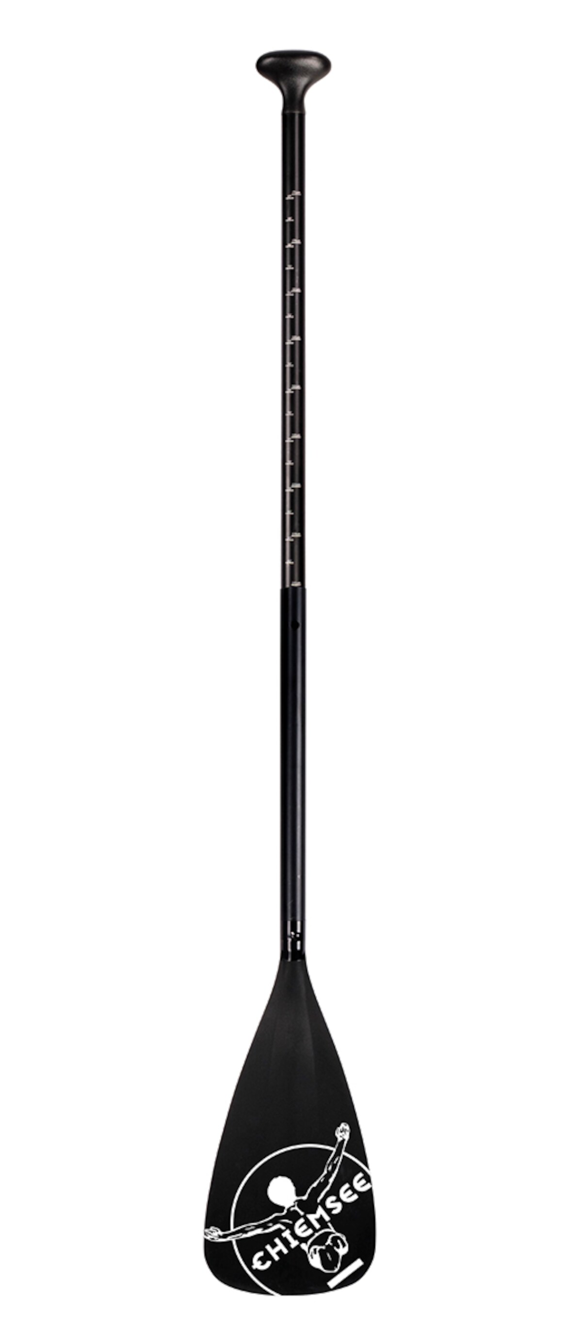 Chiemsee - SUP-Set inkl. Board, Paddel, Pumpe, Leash & Rucksack (grün/blau) Stand-Up Paddle
