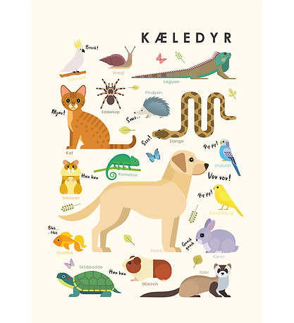 Citatplakat Poster - Kinderposter - Haustiere - A3