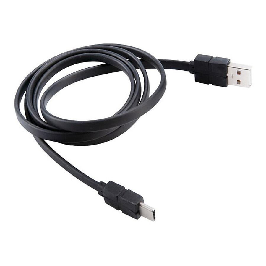 Câble USB-C vers USB-A - 1 m