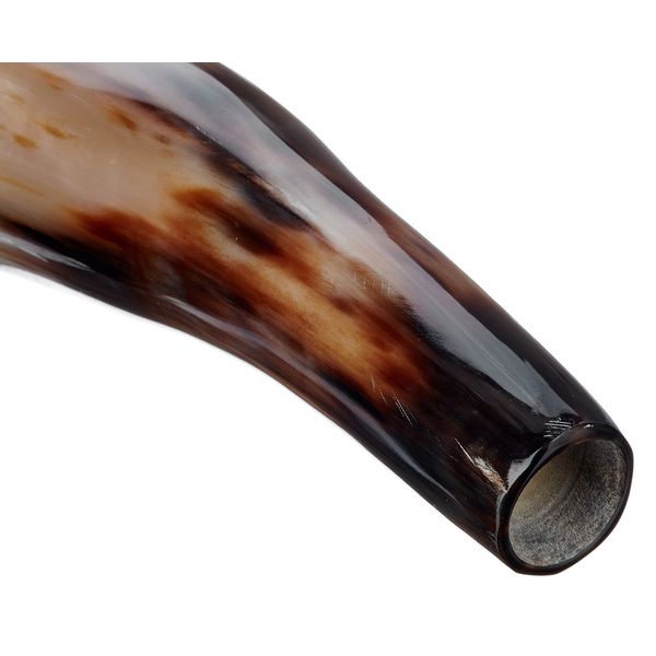 Thomann Cow Horn polished