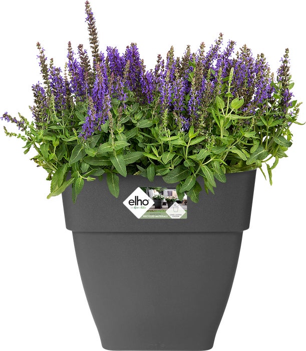 Elho bloempot Vibia Campana antraciet 28,8 x 28,8 x 28,2 cm