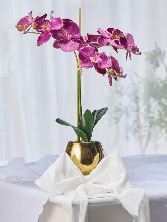 Phalaenopsis im goldfarbenen Keramiktopf, 12,50 x 10,5 cm