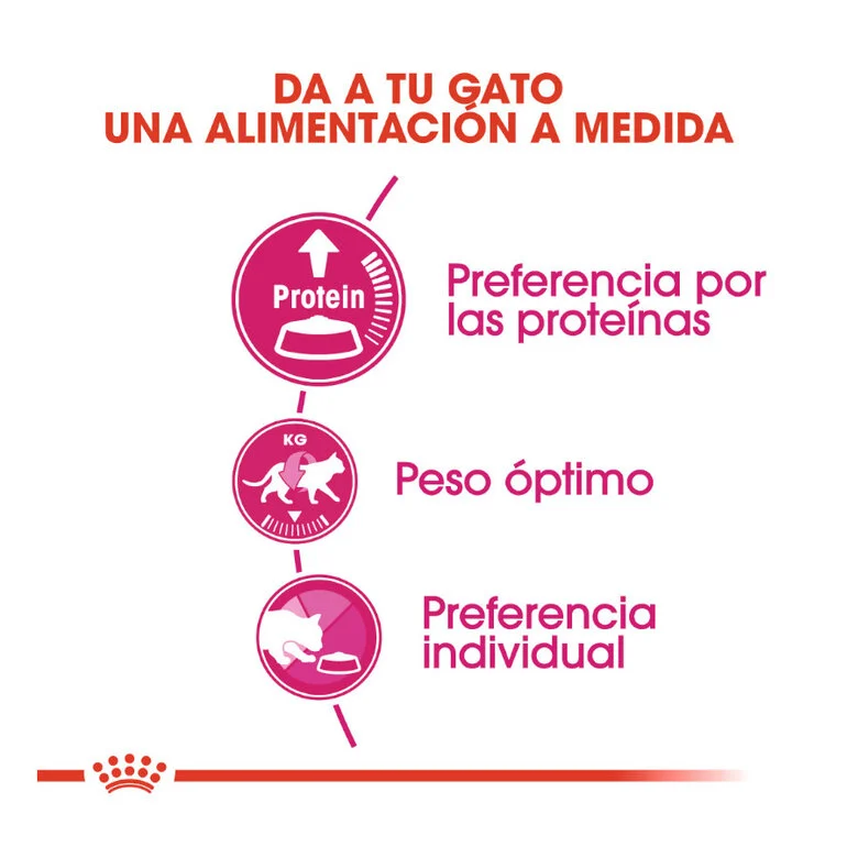 Ração Royal Canin Adult Exigent Protein para gatos