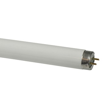 Philips TL-buis 18W warm wit