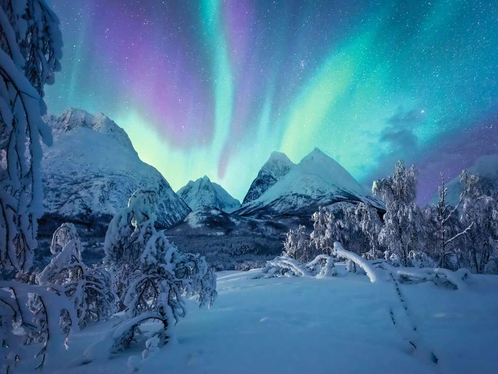 Ravensburger Spiel Wenn die Nordlichter tanzen