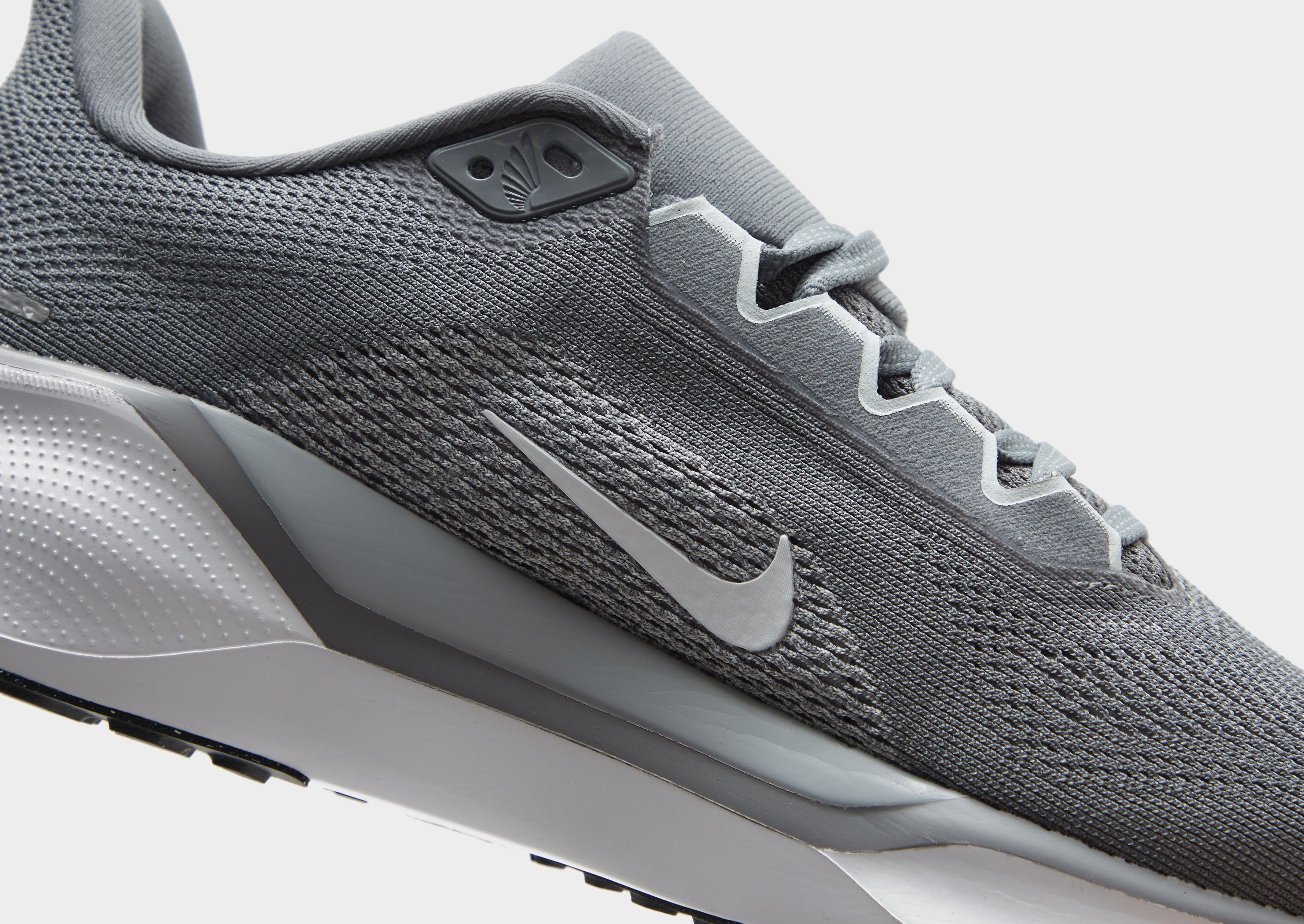 Nike Pegasus 41