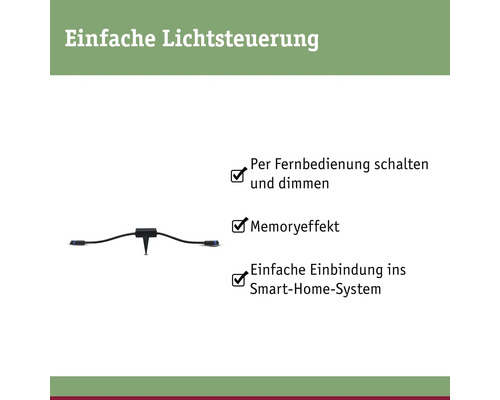 Paulmann Controller Plug & Shine Zigbee IP68 zwart 230/24V - Compatibel met SMART HOME van hornbach