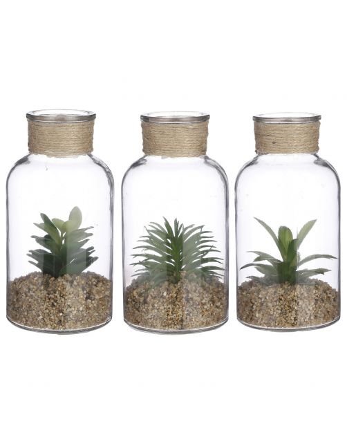 Mica Decorations Vetplant In Glazen Pot - Decoratie - Ø10x20 cm Groen 3 Assorti