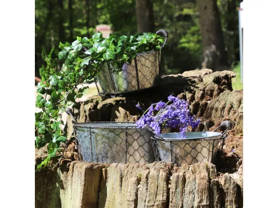~Set3 paniers grillage jardinière extérieur pot métal gris 20-24-29cm