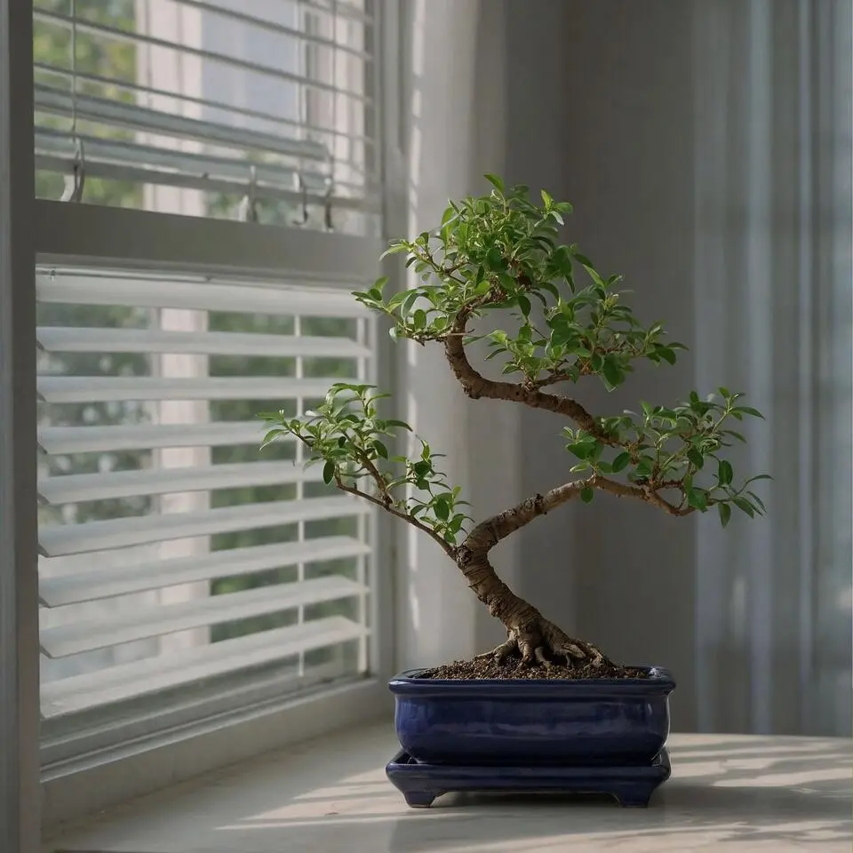 Bonsai - Carmona microphylla - Hoogte 20-30cm - ⌀15cm