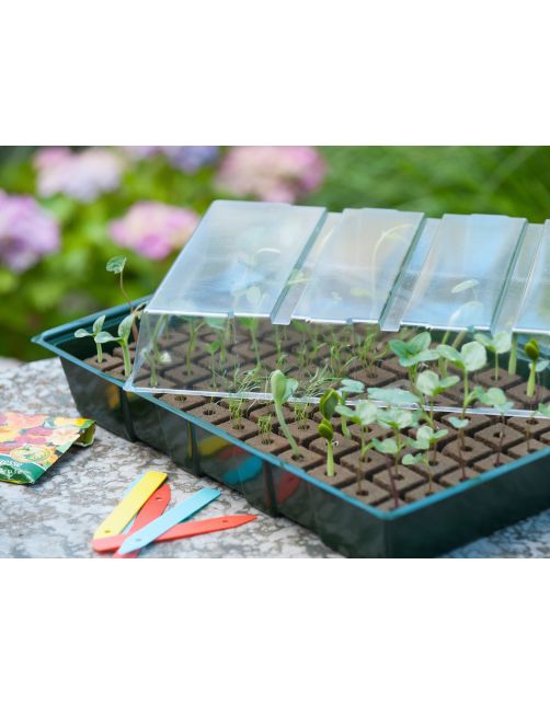 Nature Kweekbakset - Kweekbakken - 23.5x35x11 cm Groen Transparant