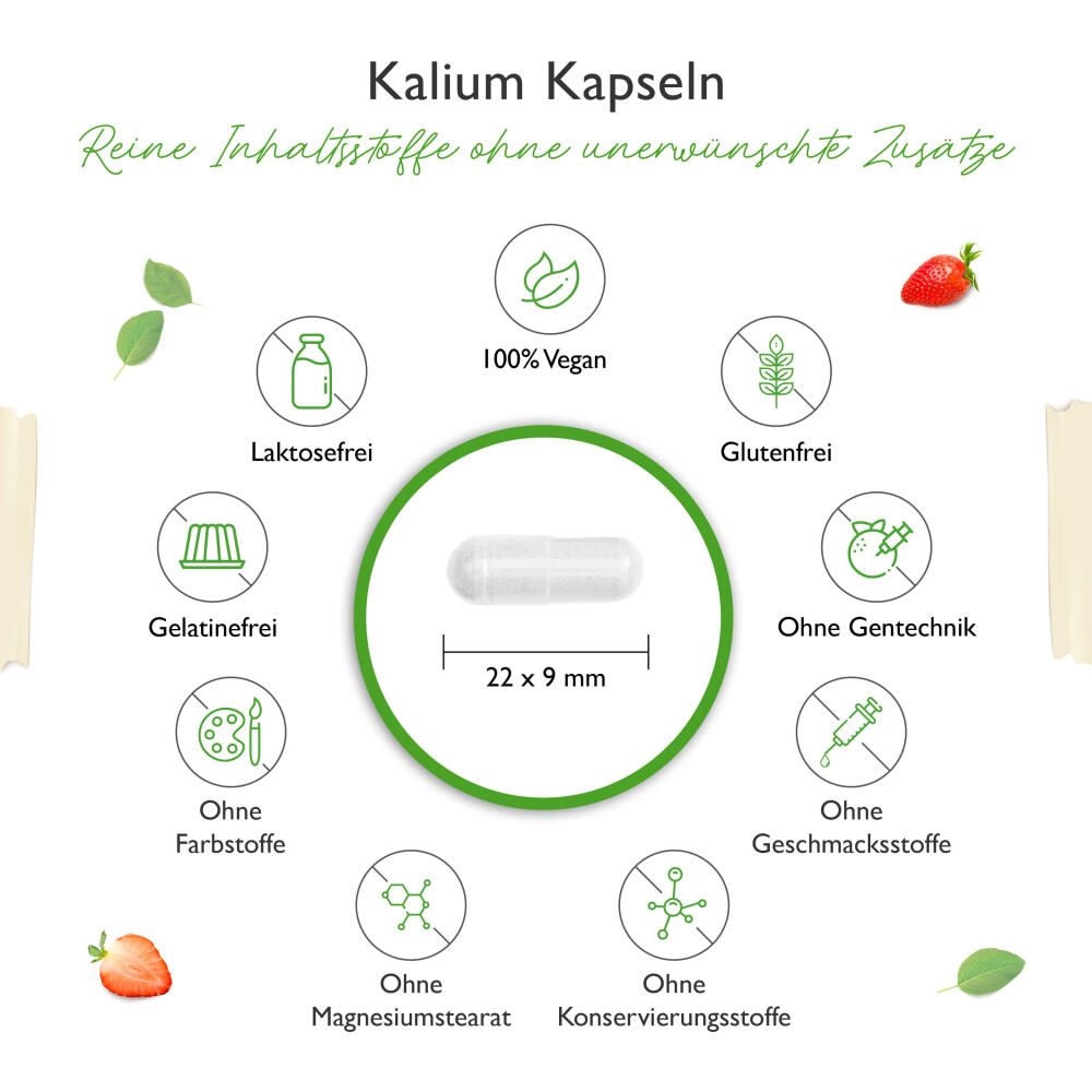 vit4ever Kalium