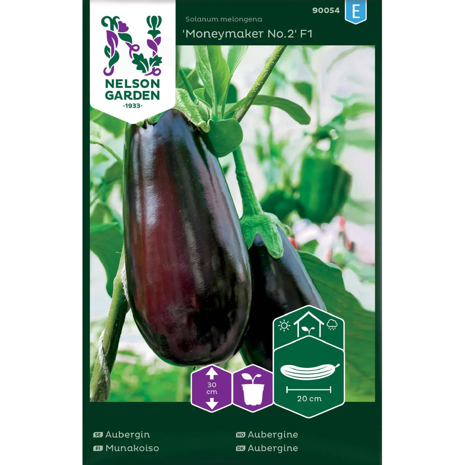 Solanum melongena 'Moneymaker No.2' Aubergine 'Moneymaker No.2' F1