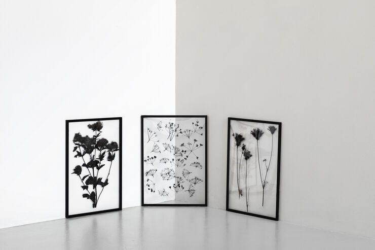 Moebe Frame ramme A2 Sort