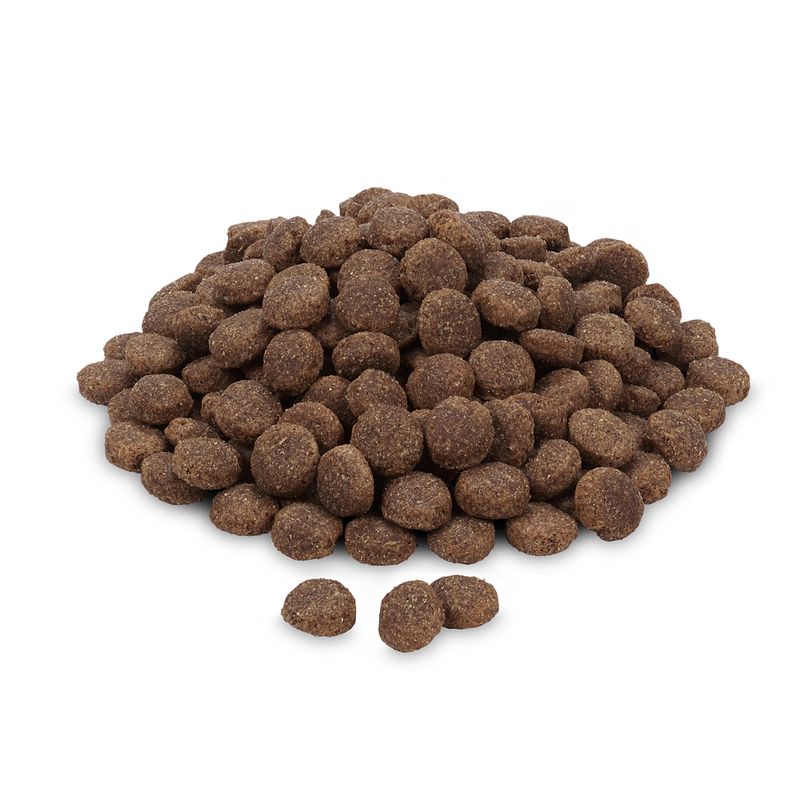 Briantos Senior dinde, pommes de terre - SANS CÉRÉALES pour chien