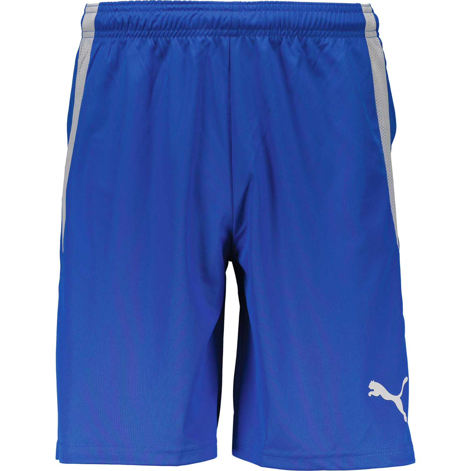 Puma Herren-Shorts team Liga M, blau