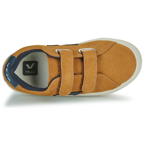 Veja - SMALL ESPLAR - Marron / Bleu