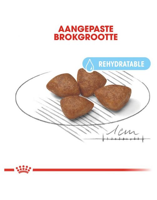 Royal Canin Mini Starter Mother & Babydog - Puppy-Hondenvoer