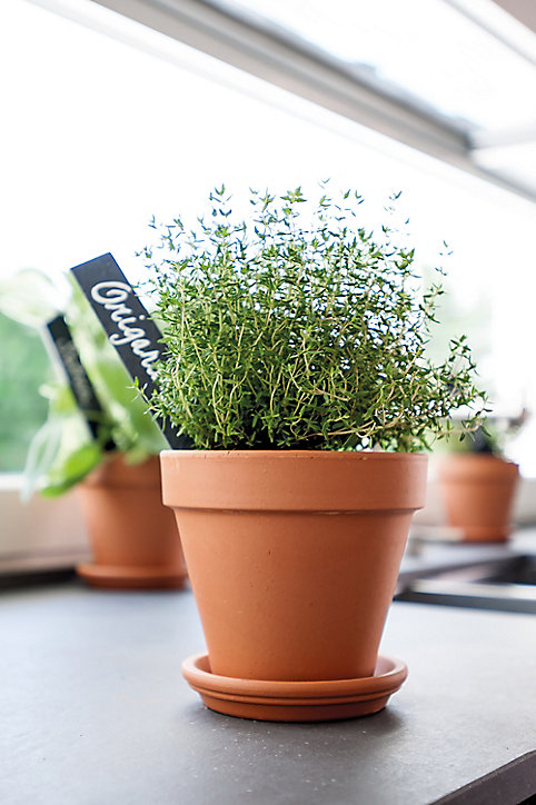 Soucoupe terre cuite pour pot Verve Laleh ø11,2 cm