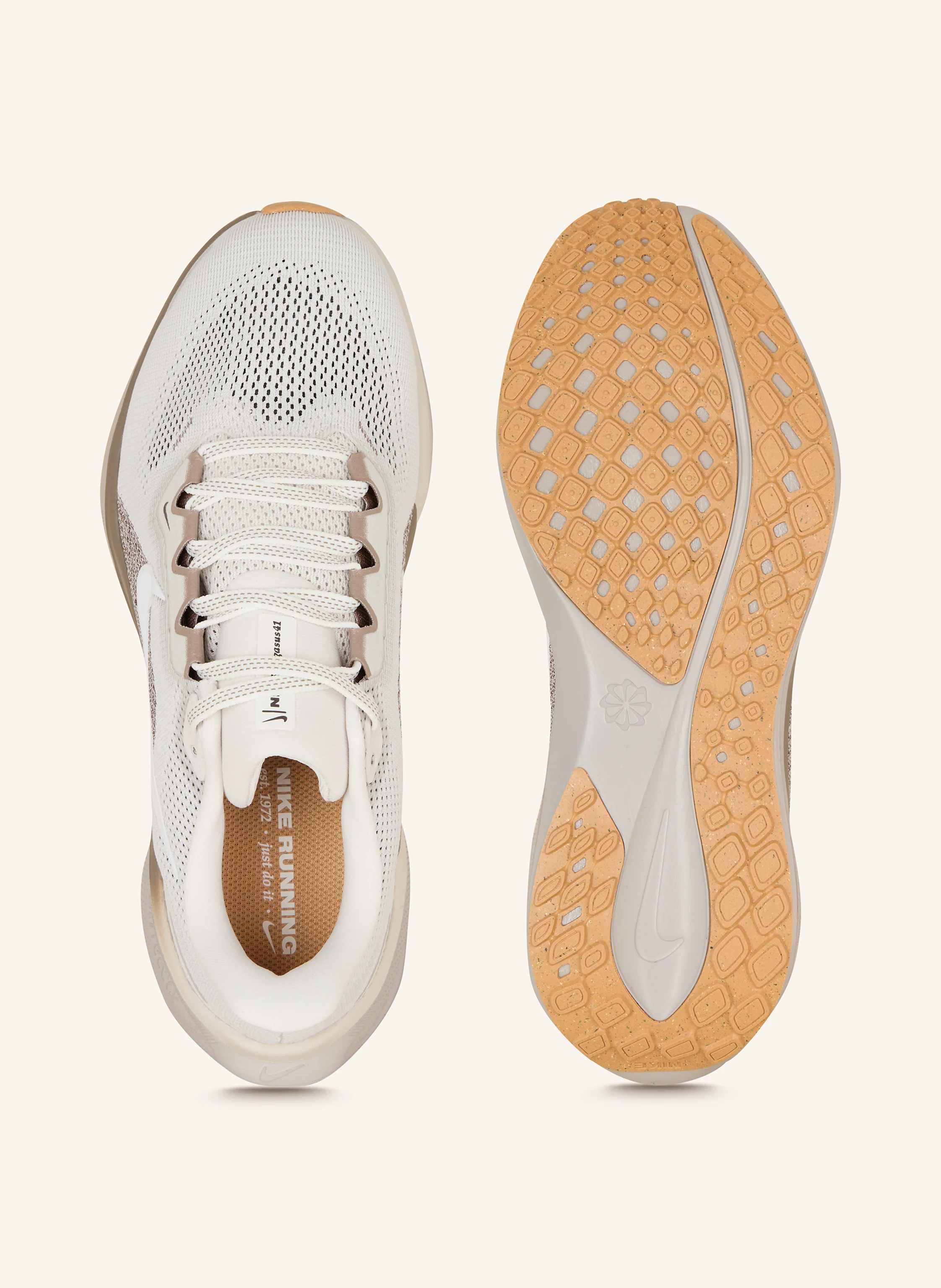 Nike Laufschuhe PEGASUS 41