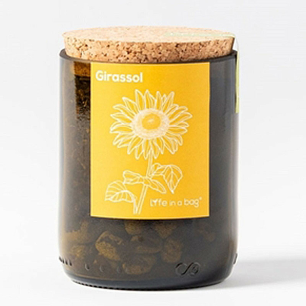 Kit bouteille prêt à pousser tournesol