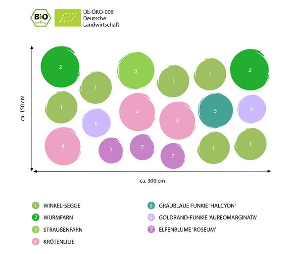 Bio Stauden-Set Schattenparadies, 18-teilig