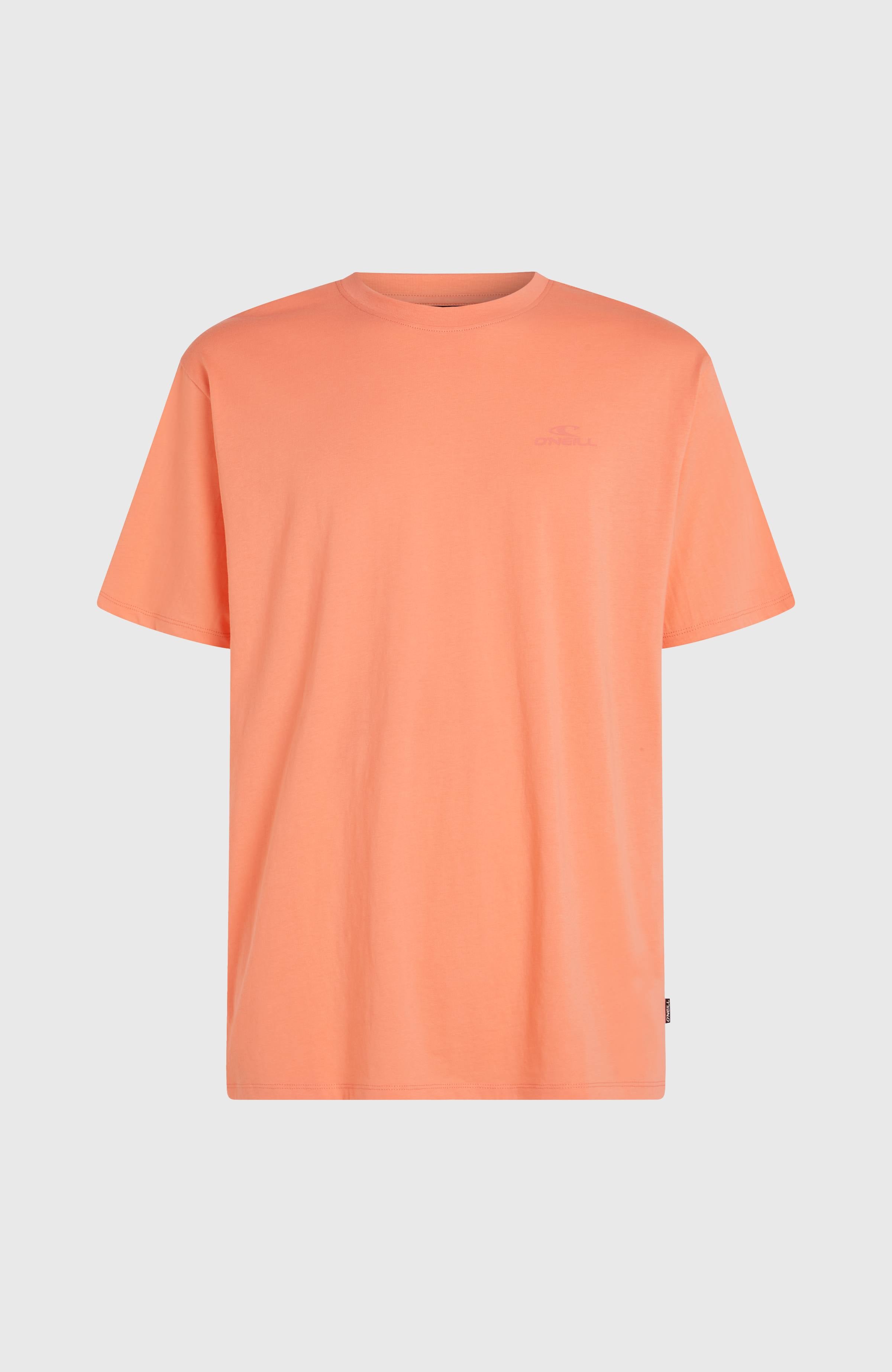O'Neill Small Logo T-shirt