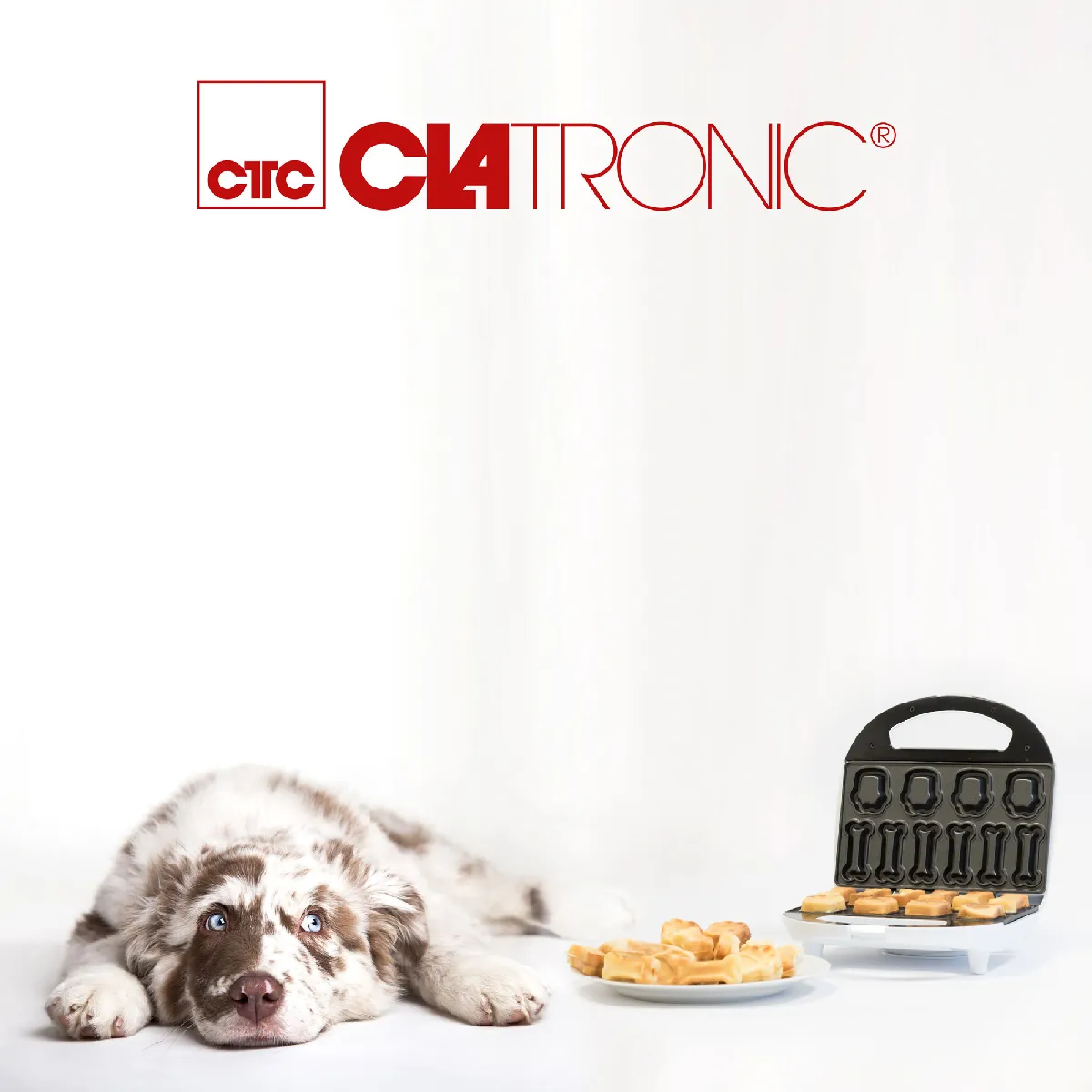 CLATRONIC DCM 3683 Blanc
