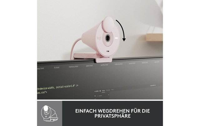 Logitech Webcam »Brio 300 rose«