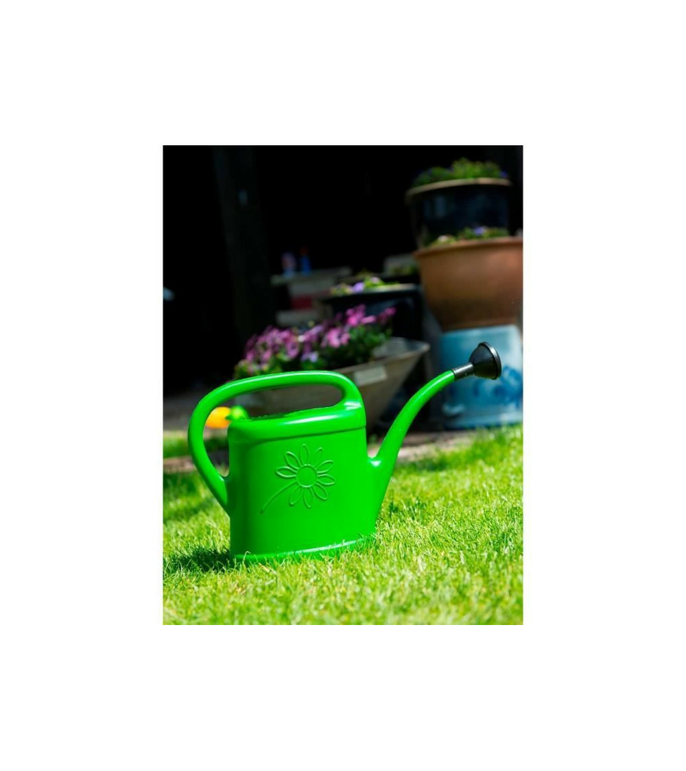 Arrosoir - pe - 2,0 ltr