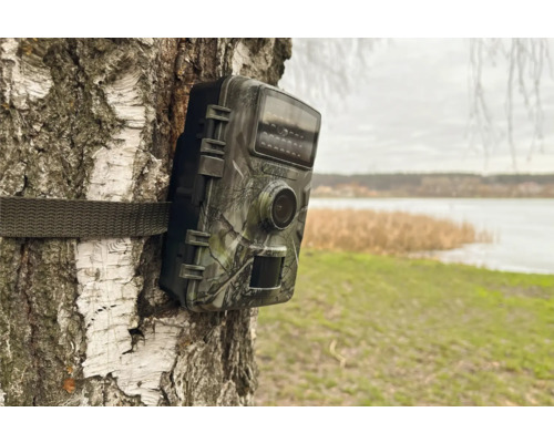 Technaxx Wildcam TX-256 Wildlife Camera, op batterijen werkende bewakingscamera voor binnen- en buitengebruik, ca. 13,6 x 10 x 6,4 cm, Full HD