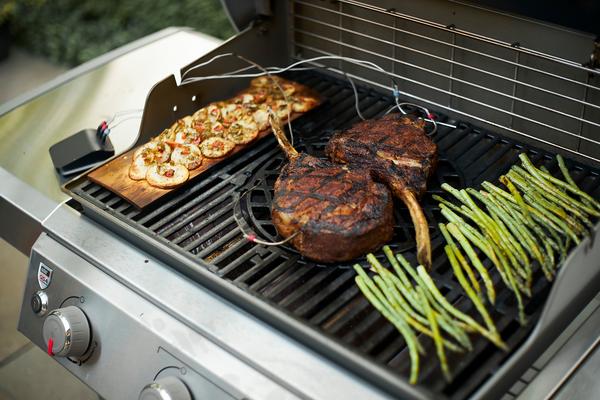 Weber Thermometer Connect Smart Grilling Hub
