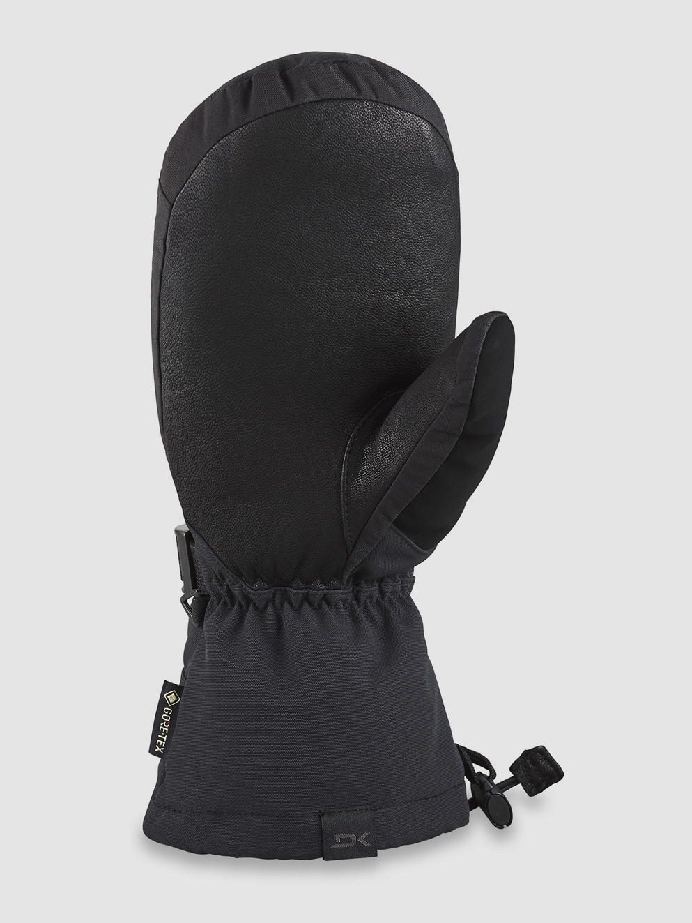 Dakine Leather Titan Gore-Tex Mittens black