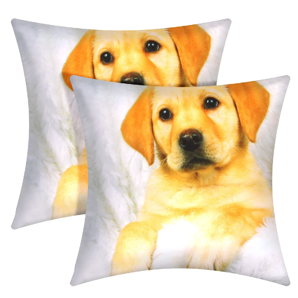 AVIZAR Lot de 2 Housses de Coussin - Motif Chien Fourrure