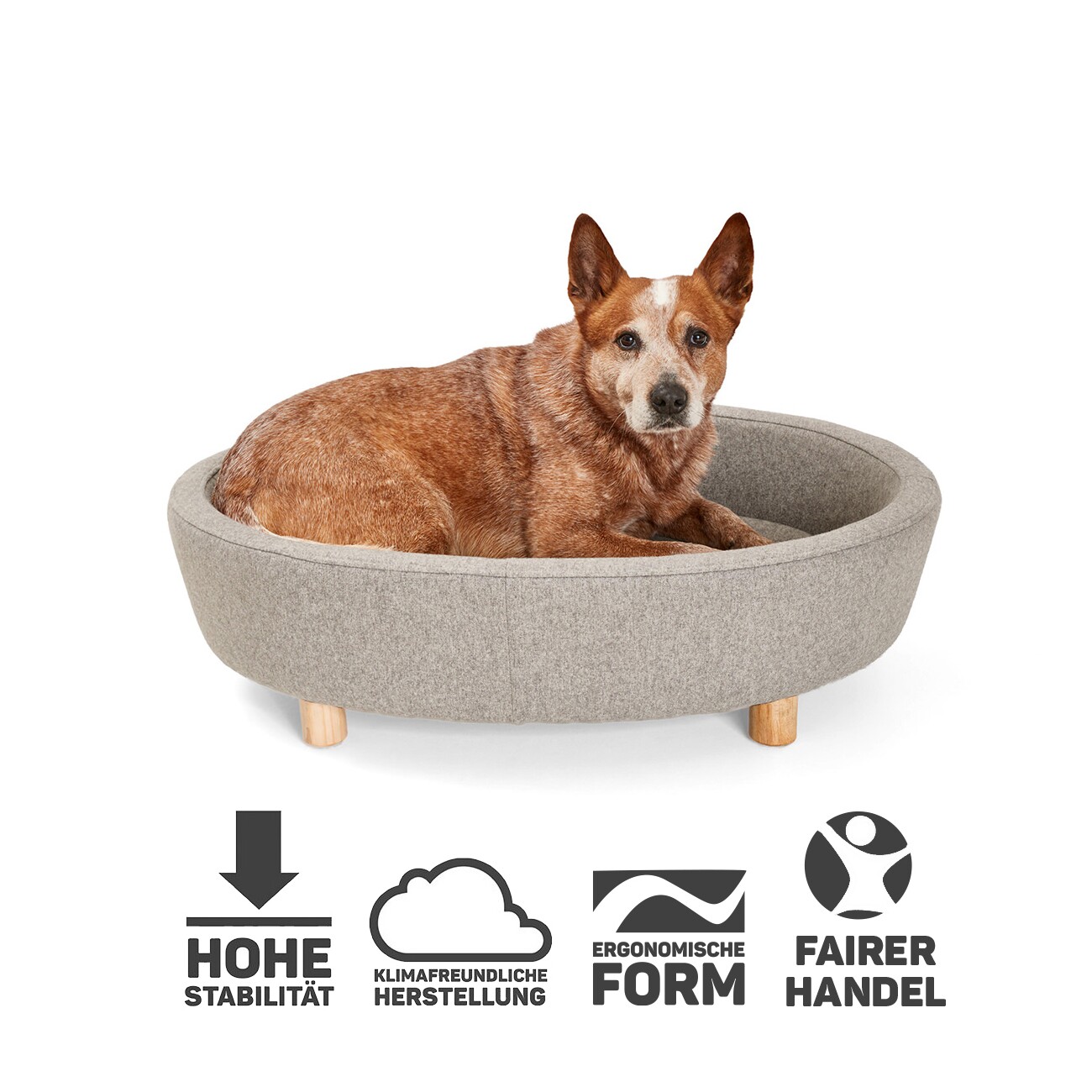 Canadian Cat Company Hunde- & Katzenbett Derby