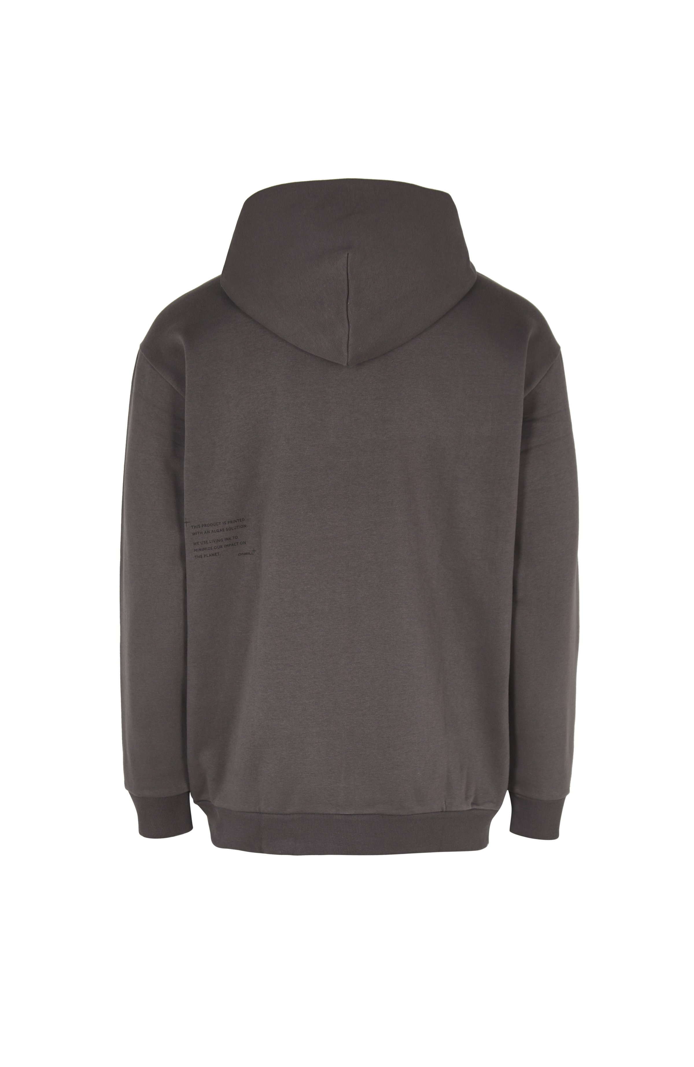 Hoodie Future Surf Society O`Neill Grijs