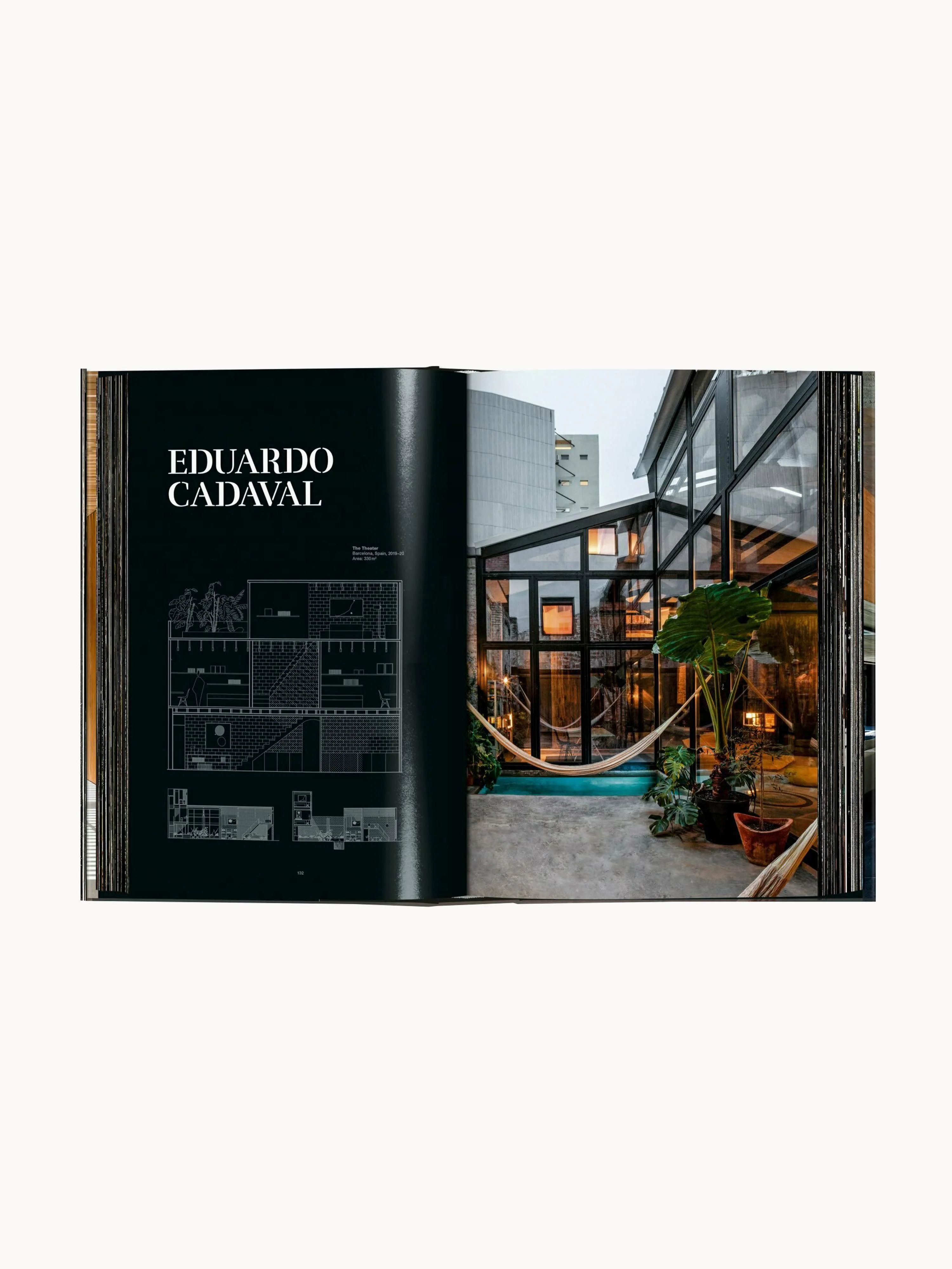 Geïllustreerd boek Homes for our Time Vol. 2