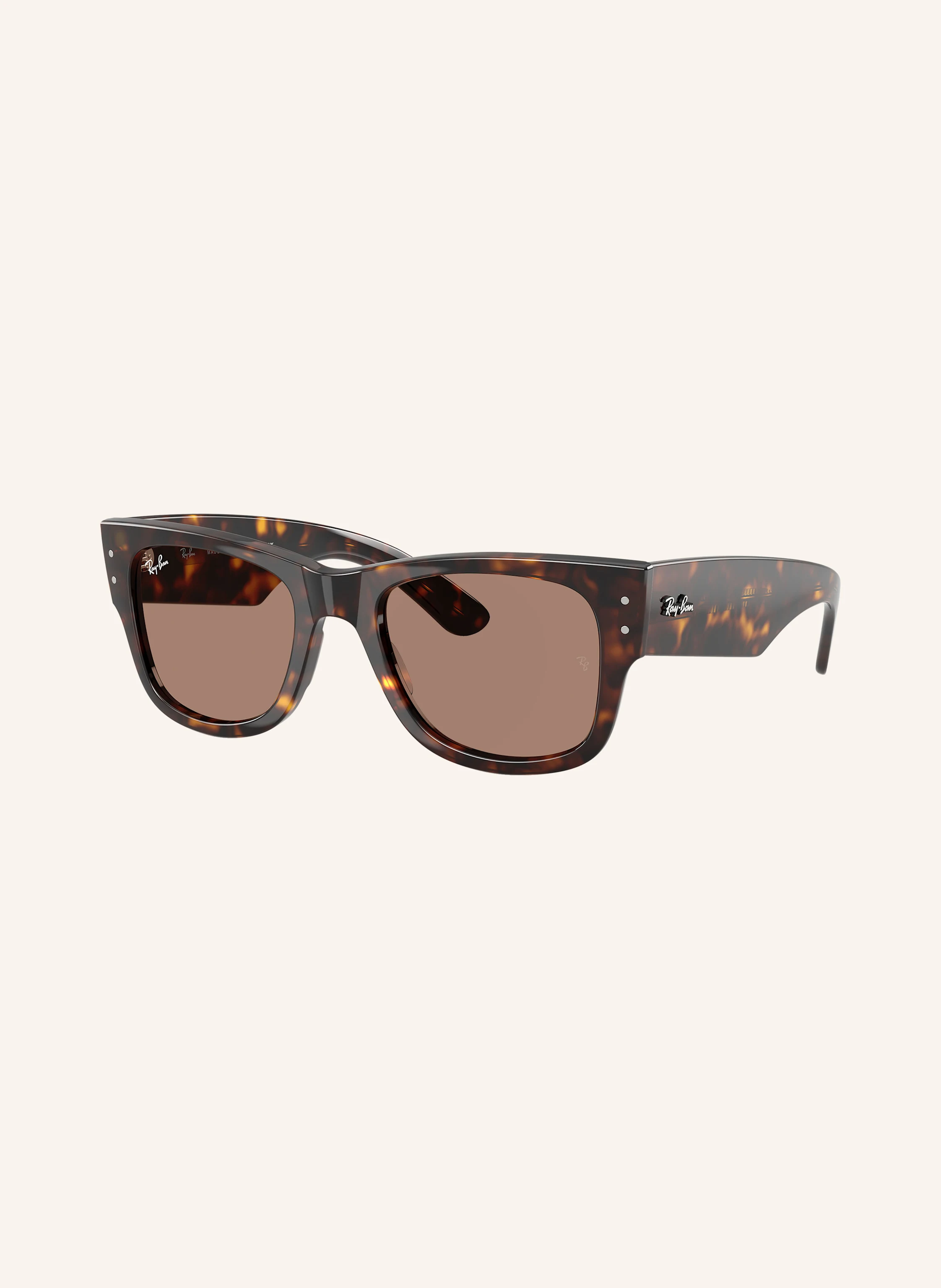 Ray-Ban Sonnenbrille RB0840S