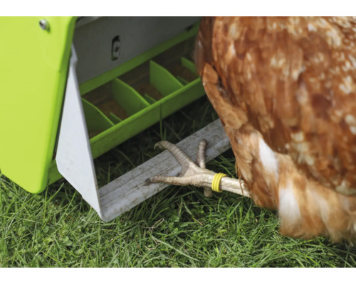 KERBL Smart Coop voerautomaat met trapklep, voor ca. 7,5 kg, 10 l pluimveevoer, kippenvoer, groen en wit