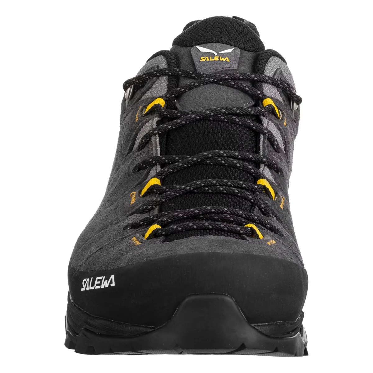 Salewa Men's Alp Trainer 2 Gore-Tex Onyx/Black