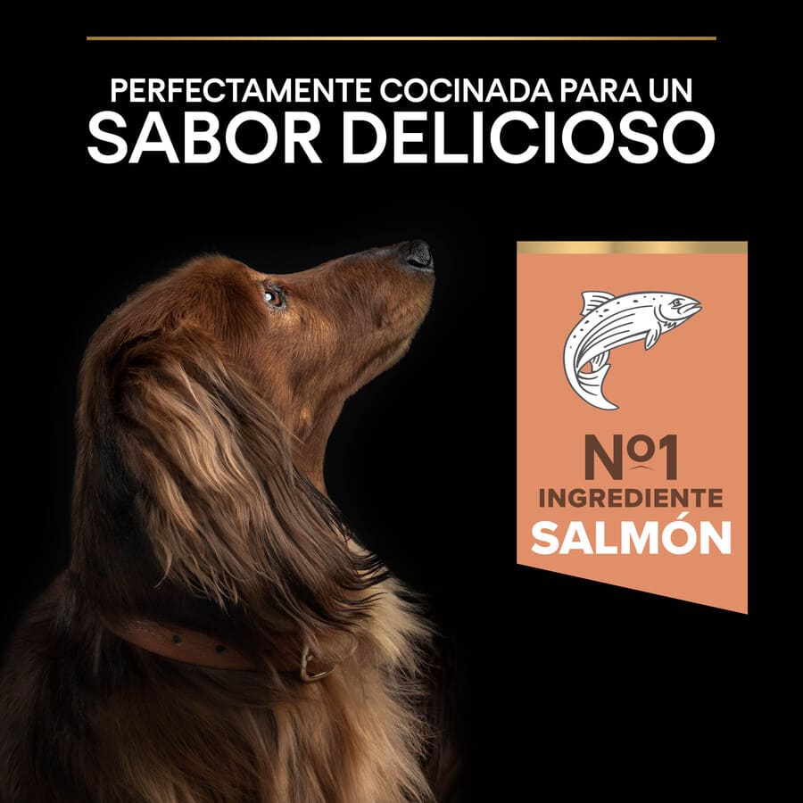 Ração Pro Plan Adult Small and Mini Salmon Sensitive Skin para cães