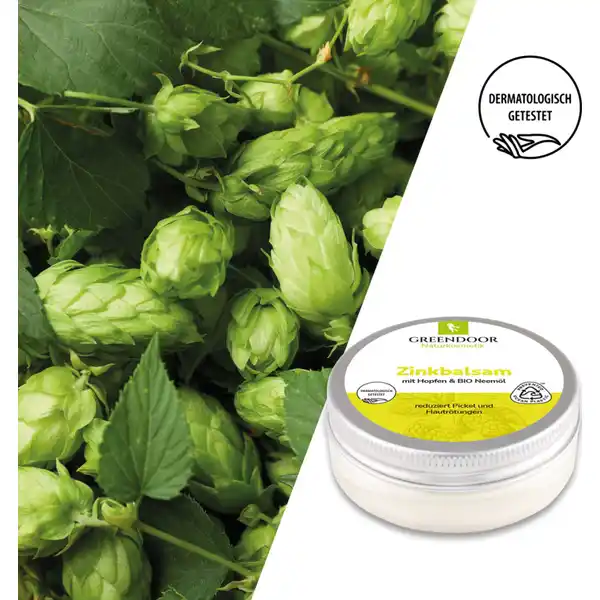 Zinkbalsam mit Hopfen & Bio Neemöl
