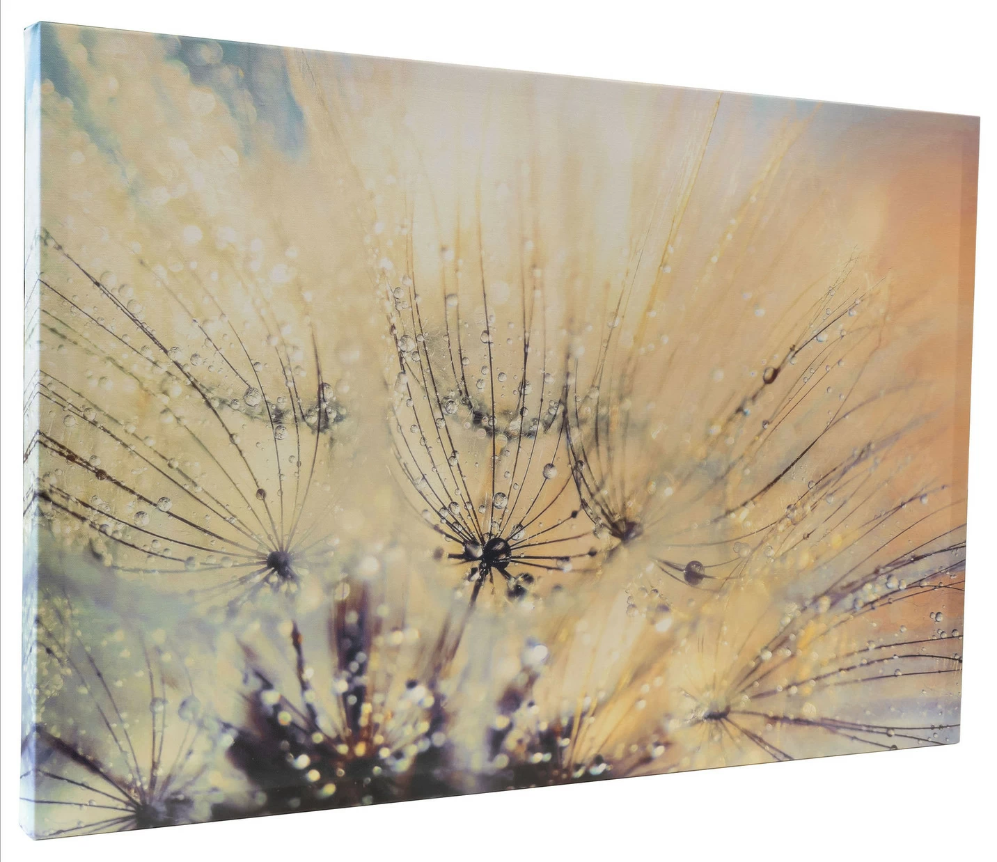 Leinwandbild mit Zertifikat