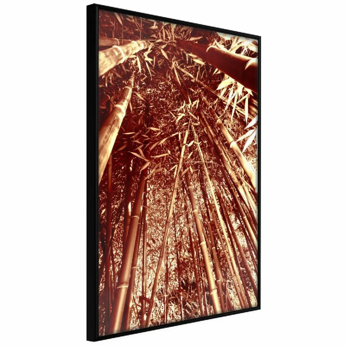 Paris Prix Affiche Asian Forest 40 x 60 cm - Noir
