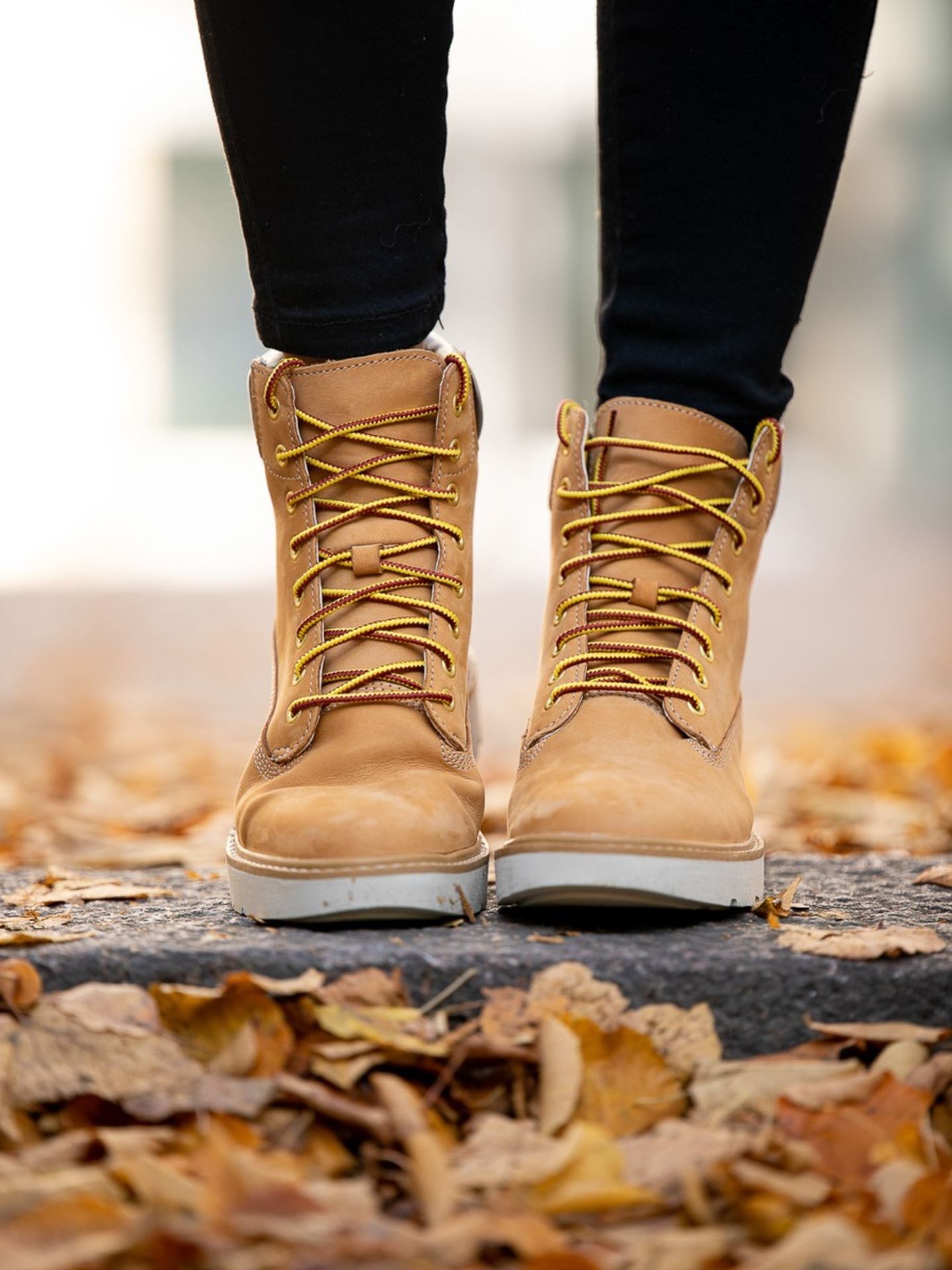 Kenniston 6 inch Lace Up Boot Wheat