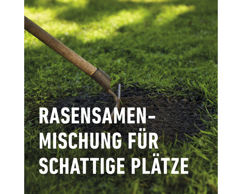 Schaduwgazon COMPO SAAT® 1 kg 50 m²