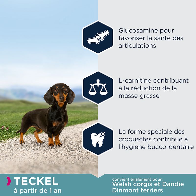 Eukanuba Adult Breed Specific Teckel
