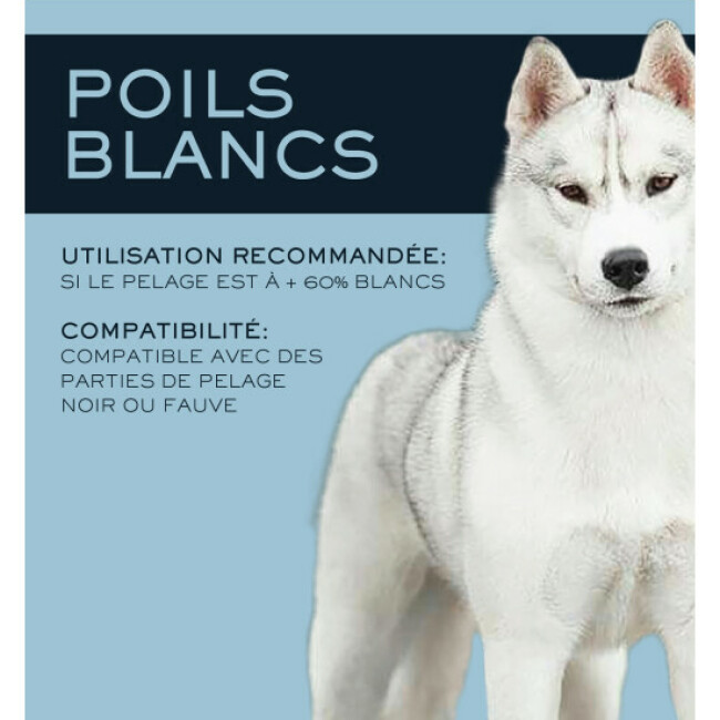 Shampoing solide Naiomy poils blancs